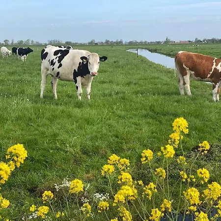 Te Huur 2 Januari Tot 27 Februari 2026 Tatil Evi