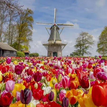 Te Huur 15 Feb Tot 15 Mrt Voor Tweeduizend Euro Vier Weken Holiday home *