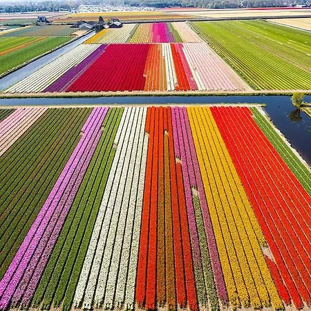 Tatil Evi Te Huur 2 Januari Tot 27 Februari 2026 Zevenhuizen (Kaag en Braassem)