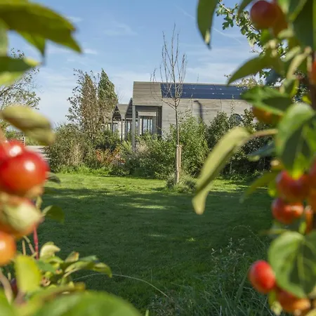 Te Huur 15 Feb Tot 15 Mrt Voor Tweeduizend Euro Vier Weken Zevenhuizen (Kaag en Braassem)