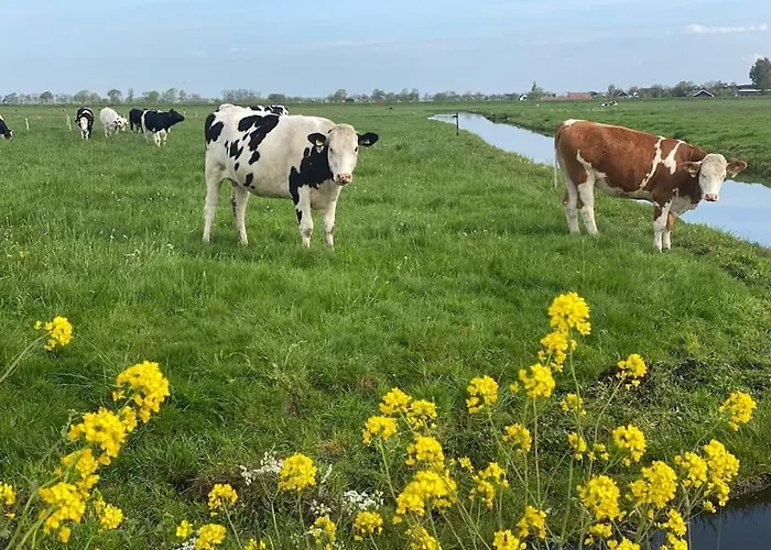 Te Huur 15 Feb Tot 15 Mrt Voor Tweeduizend Euro Vier Weken Ferienhaus