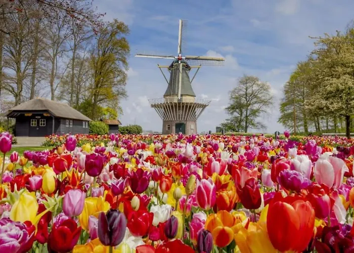 Te Huur 15 Feb Tot 15 Mrt Voor Tweeduizend Euro Vier Weken Ferienhaus *