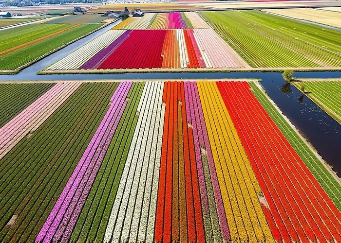 Ferienhaus Te Huur 15 Feb Tot 15 Mrt Voor Tweeduizend Euro Vier Weken Zevenhuizen (Kaag en Braassem)