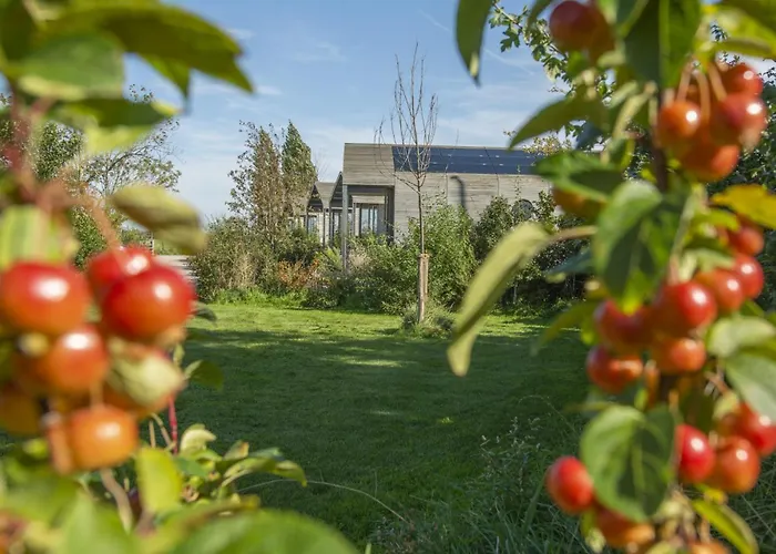 Te Huur 15 Feb Tot 15 Mrt Voor Tweeduizend Euro Vier Weken Ferienhaus